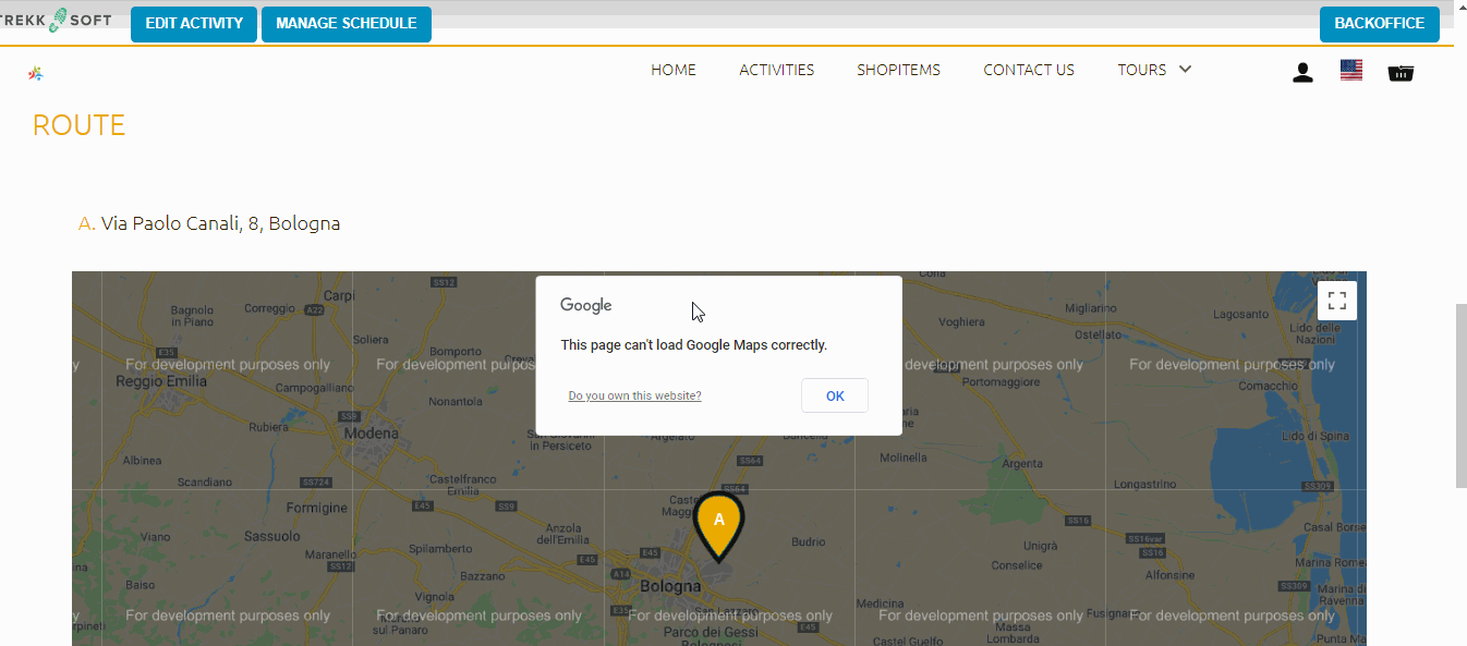 Google maps API issue