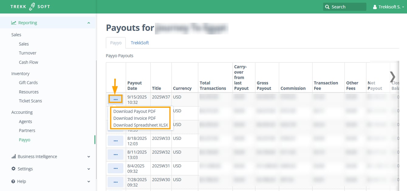 Payyo Payyo Accounting Report