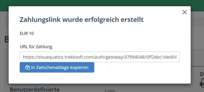 Zahlungslink_german3
